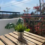 Cozy Apartamento *